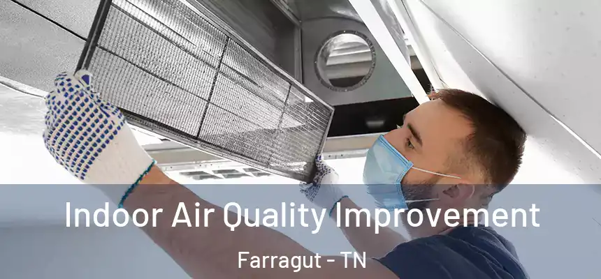  Indoor Air Quality Improvement Farragut - TN