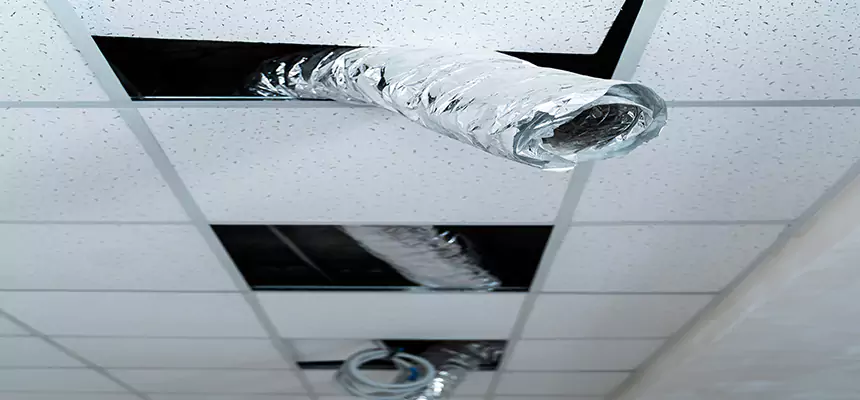 Our Air Duct Pet Hair Removal Services in Farragut, TN