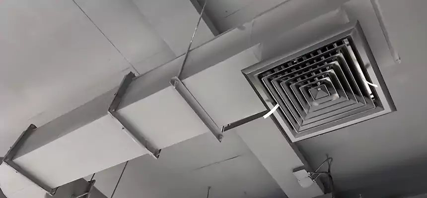 Our Pest Removal From Ducts Services in Farragut, TN