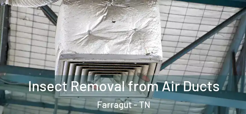 Insect Removal from Air Ducts Farragut - TN