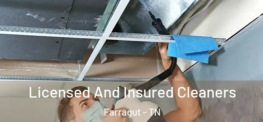  Licensed And Insured Cleaners Farragut - TN