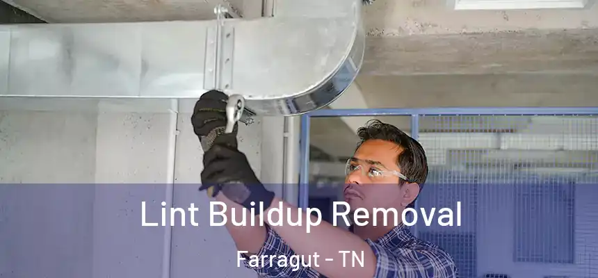 Lint Buildup Removal Farragut - TN