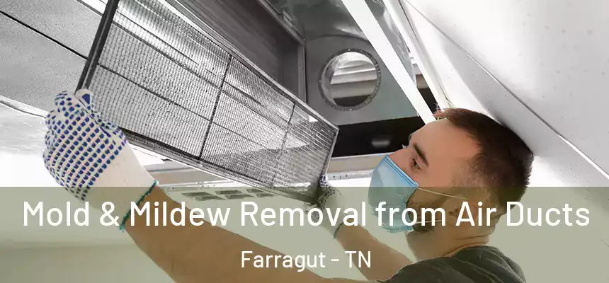  Mold & Mildew Removal from Air Ducts Farragut - TN