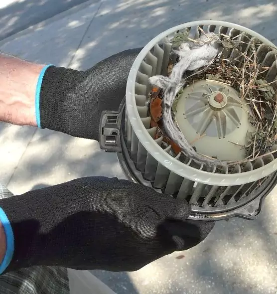 About Air Duct Mice Removal in Farragut, TN