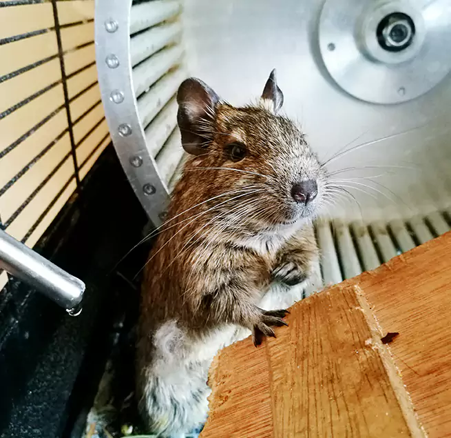 Why Homeowners & Businesses Trust Us Farragut, TN?